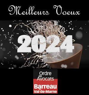 BVDM VOEUX 2024