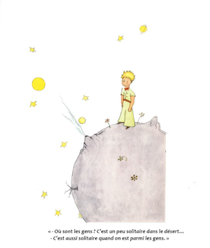 BVDM LE PETIT PRINCE 300