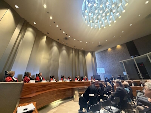 BVDM Tribunal judiciaire de creteil 2