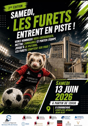 BVDM LES FURETS